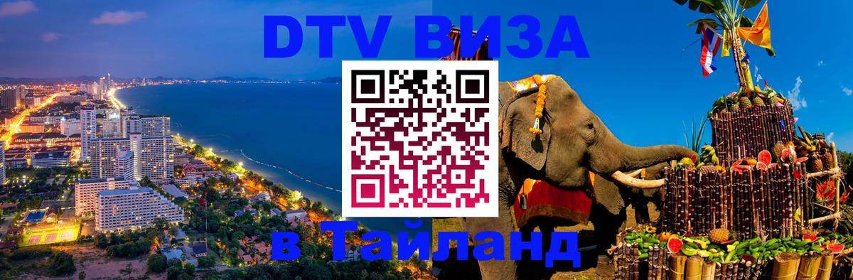 Оформление DTV визы под ключ: стоимость и тарифы, только загранпаспорт - 05.12.2025 